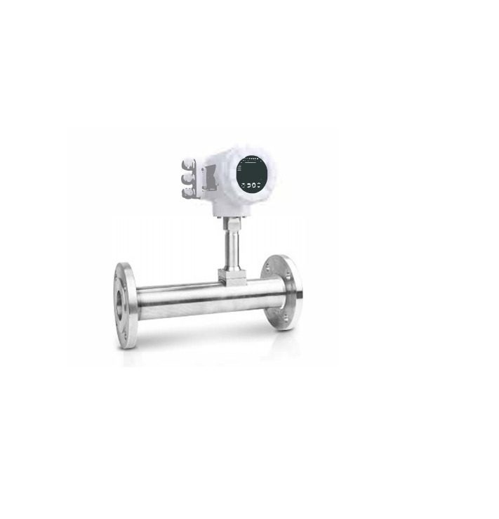 法蘭式熱式質(zhì)量流量計(jì)